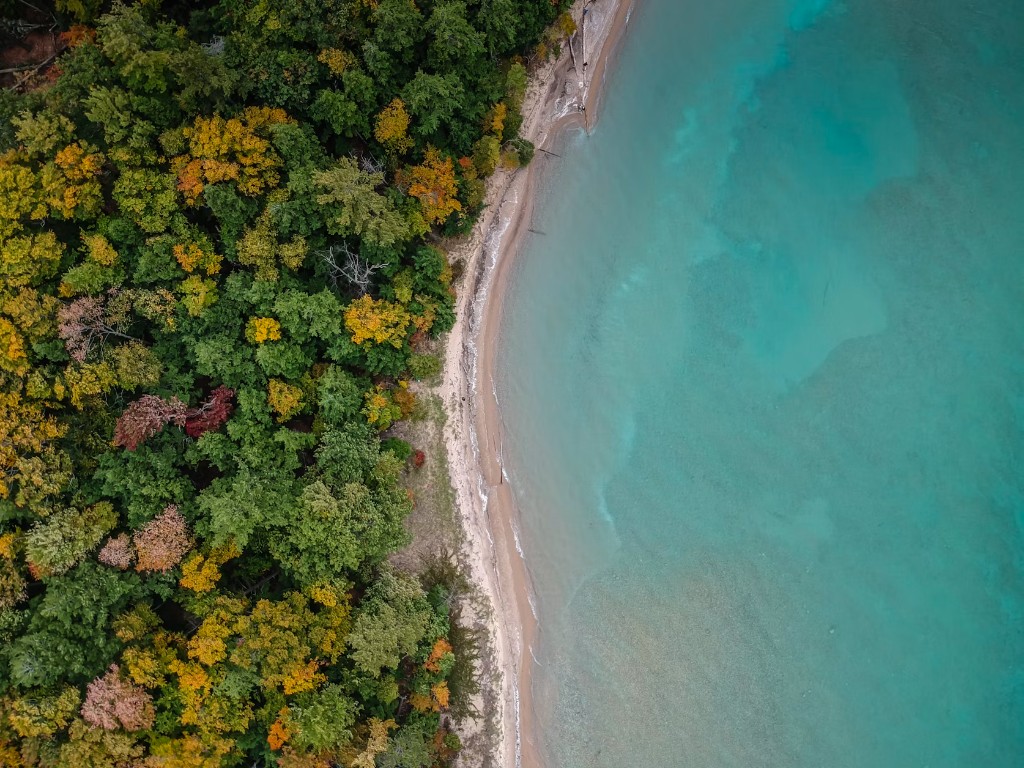 Aerial view of Northern Michigan shoreline and forest